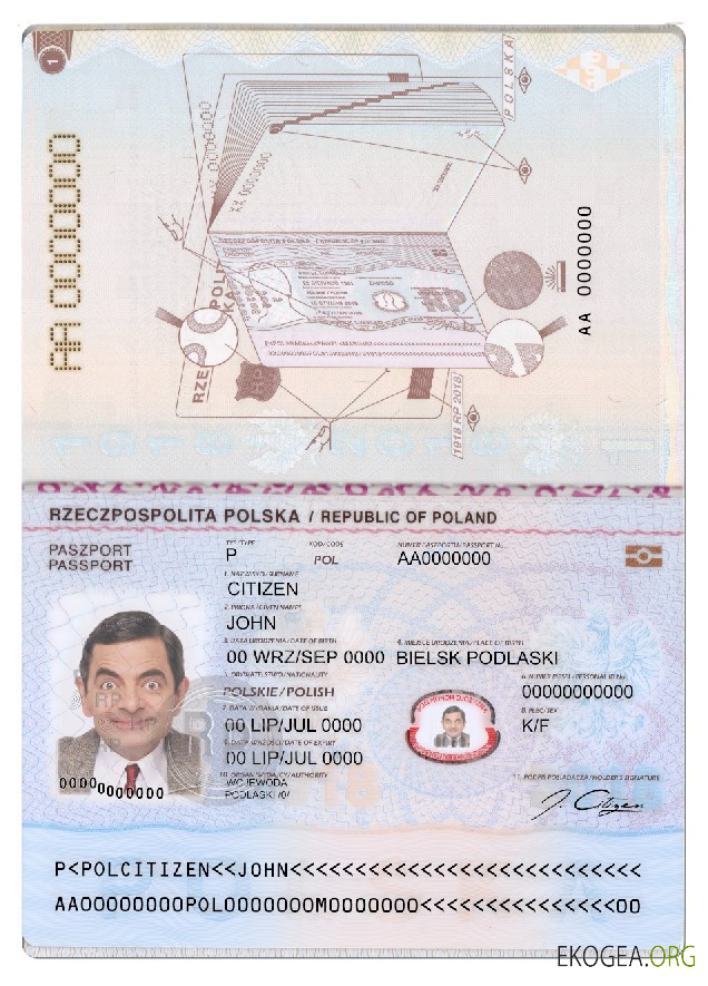 Modèle de passeport polonais au format PSD, entièrement modifiable, 2018 – présent